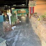 Photo by Stephanie Nelson